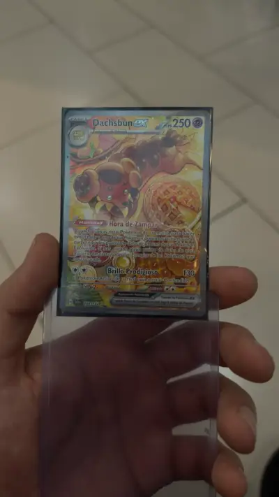 Carta Pokémon Dachsbun EX Holo Rara - miniatura 5