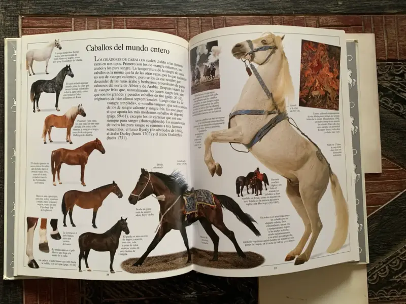 Lote de Libros sobre Caballos - 2