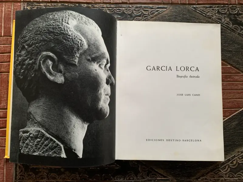 Libro García Lorca Biografía Ilustrada por José Luis Cano - 1