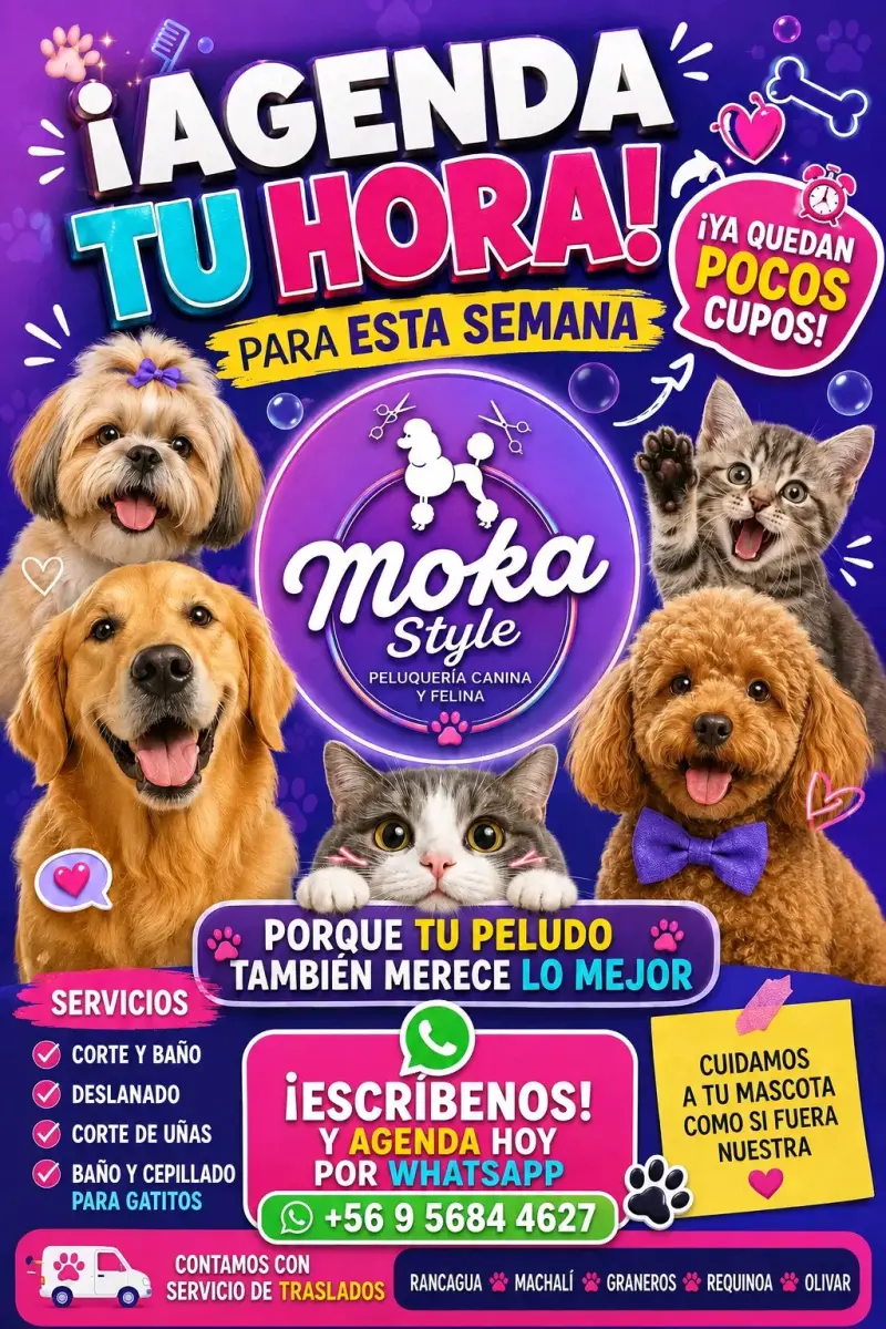 Peluquería canina y felina - 1
