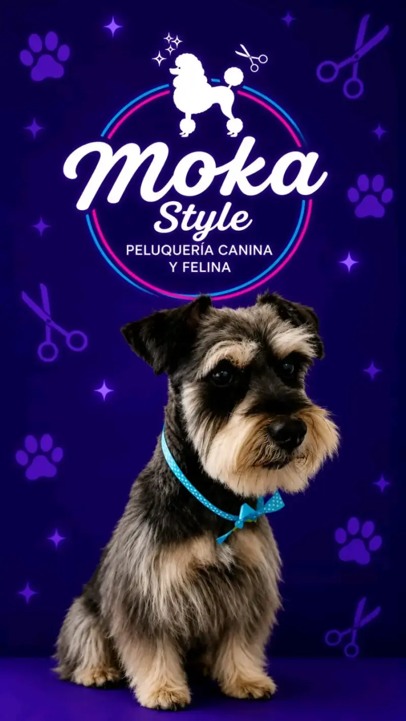 Peluquería canina y felina - 2