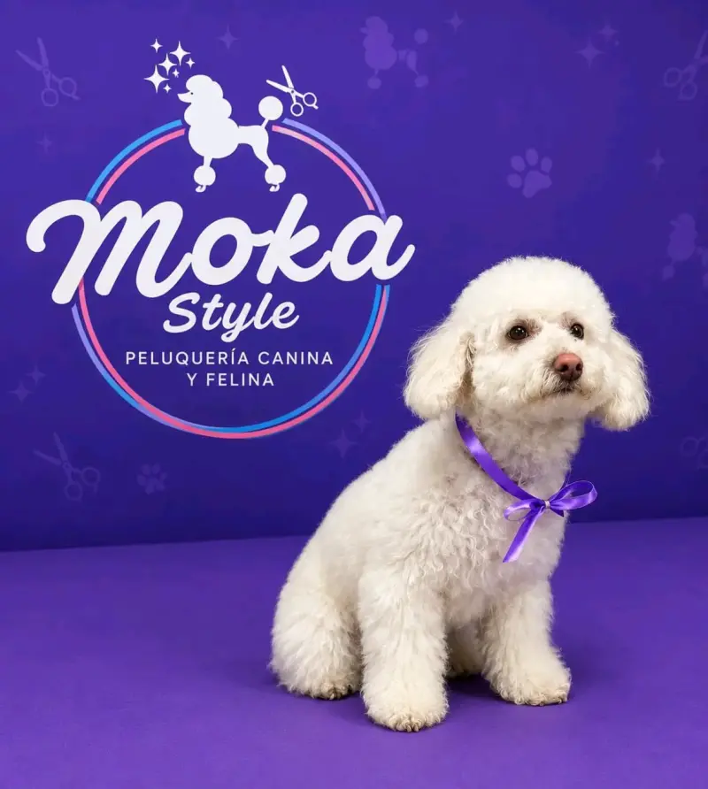 Peluquería canina y felina - 4