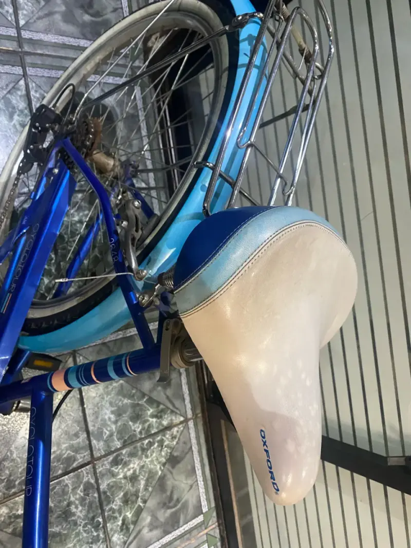 Bicicleta Oxford Cyclotour azul con canasto - 5