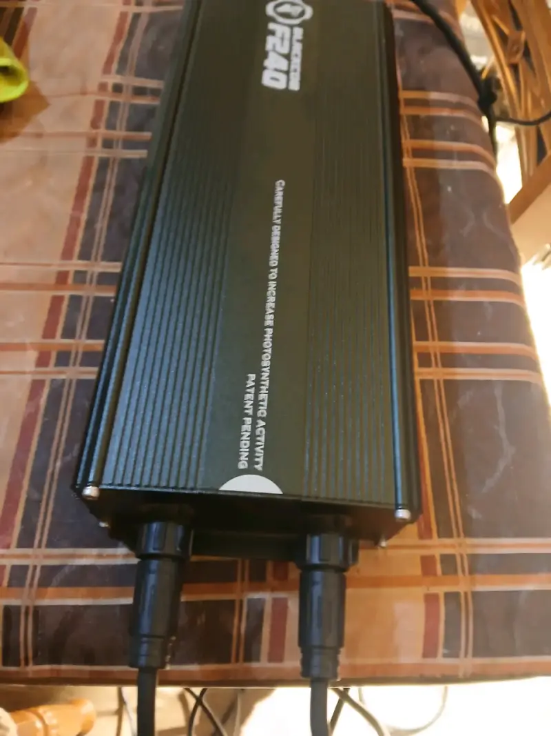 Luces LED BlackCob F240 para cultivo - 2