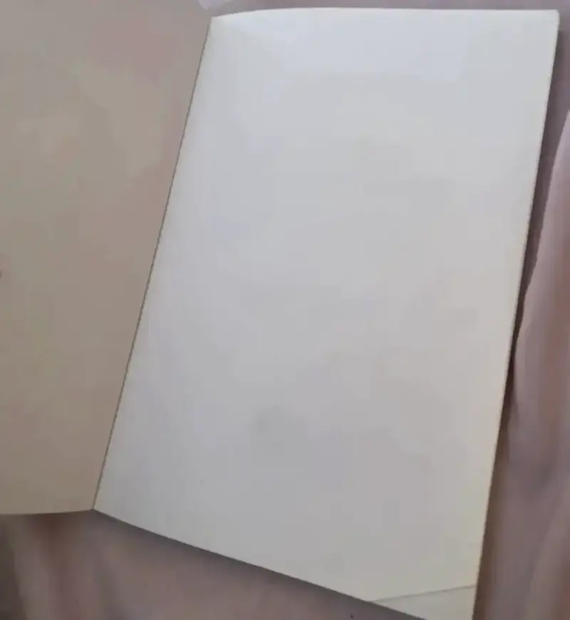 Libro El Crimen de la Calle Bambi - 2