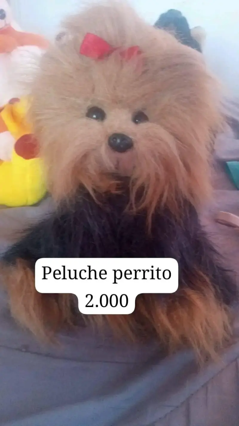 Peluches variados como nuevos - 4