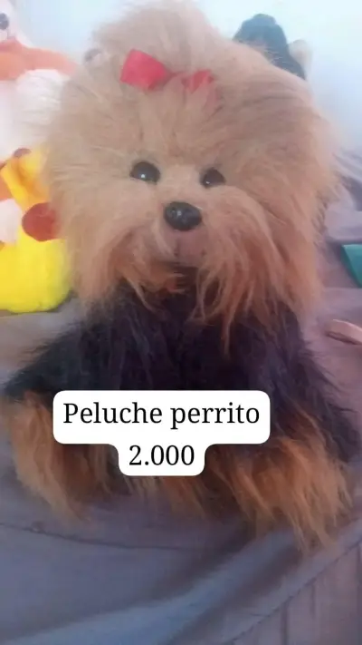 Peluches variados como nuevos - miniatura 4