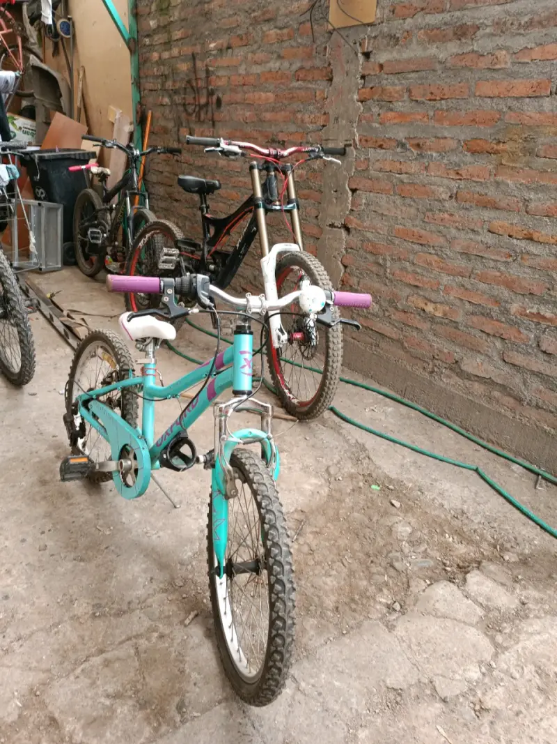 Bicicleta Infantil niña aro 20 - 1