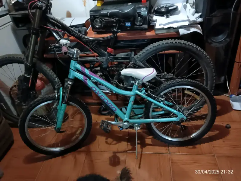 Bicicleta Infantil niña aro 20 - 2