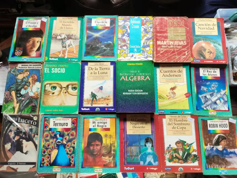 Lote de libros clásicos y educativos variados