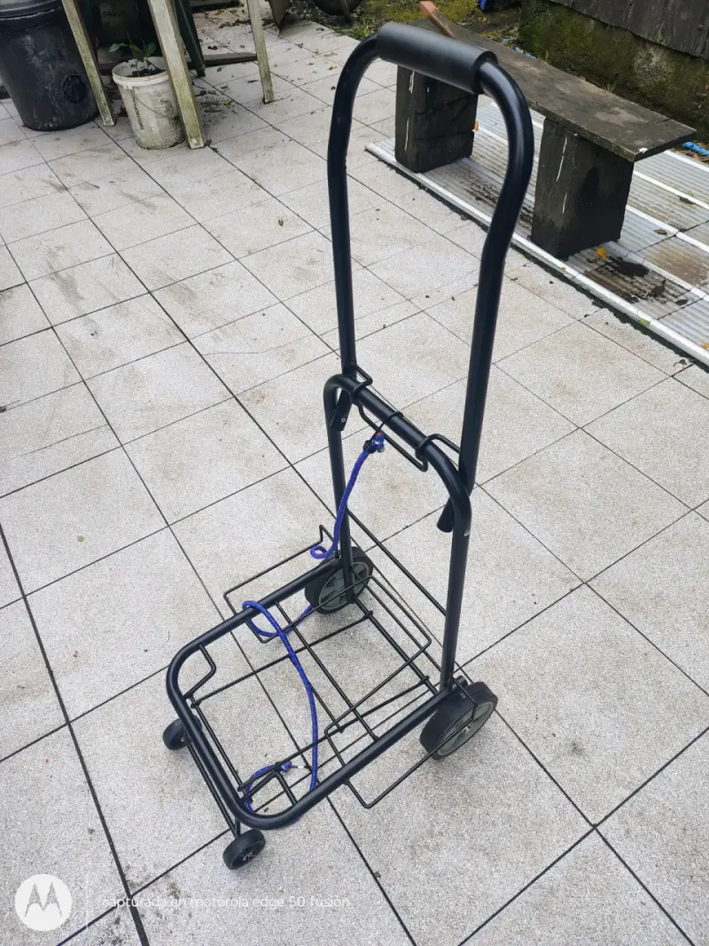 Carro de compras plegable con ruedas