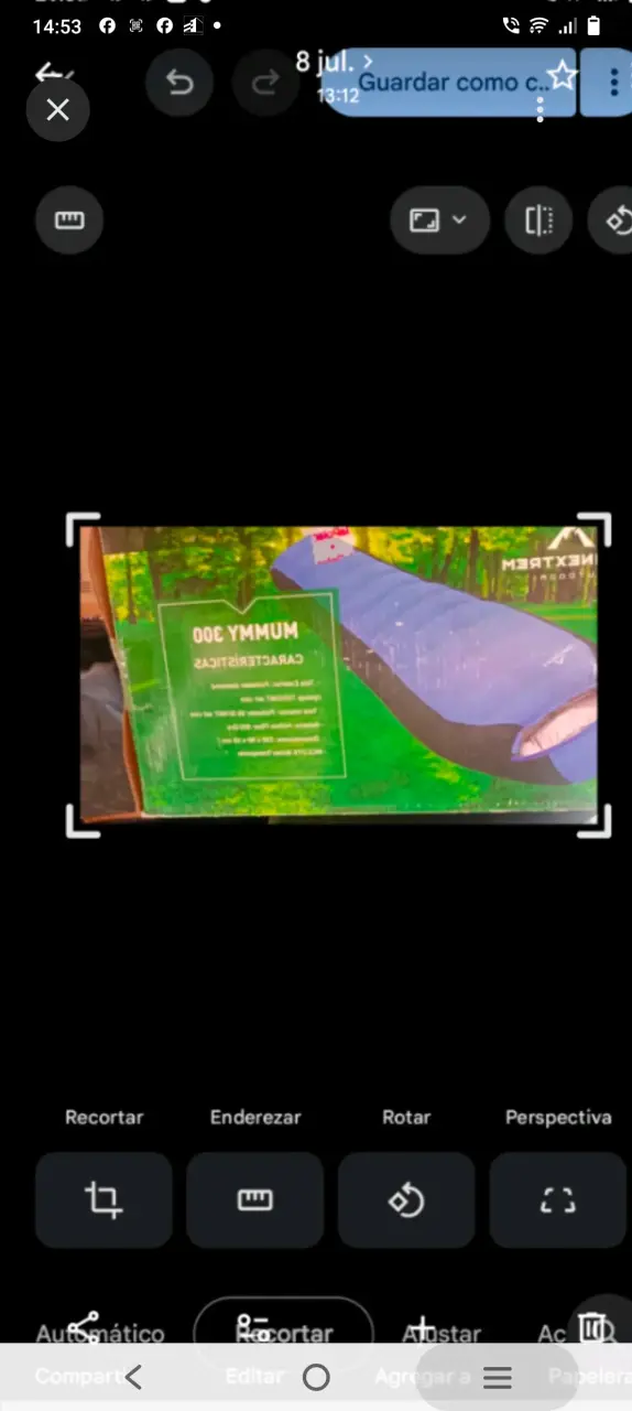Saco de Dormir Mummy 300 Nexxtrem Outdoor