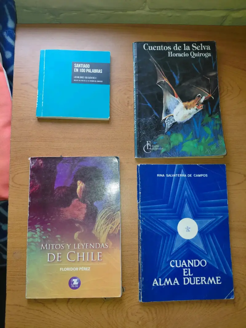 Lotes de libros variados en buen estado - 3