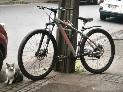 Bicicleta de montaña Trek gris con suspensión - miniatura 1