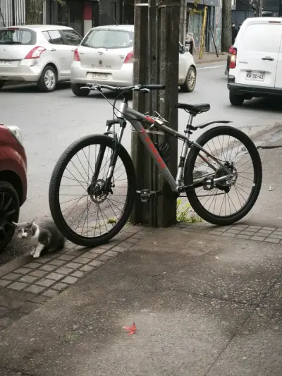 Bicicleta de montaña Trek gris con suspensión - miniatura 2