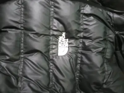 Chaqueta acolchada negra The North Face - miniatura 1