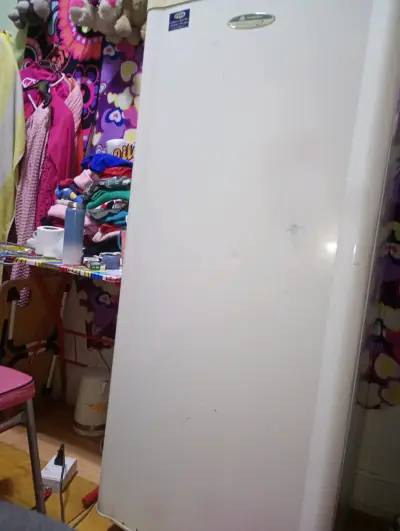 Refrigerador vertical Mademsa blanco en buen estado - miniatura 1