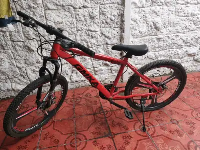 Bicicleta roja aro 20 - miniatura 2
