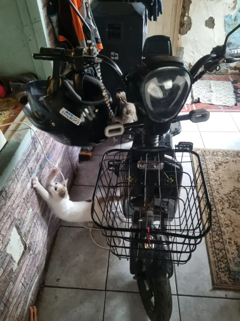 Moto eléctrica negra con canasto delantero - 3