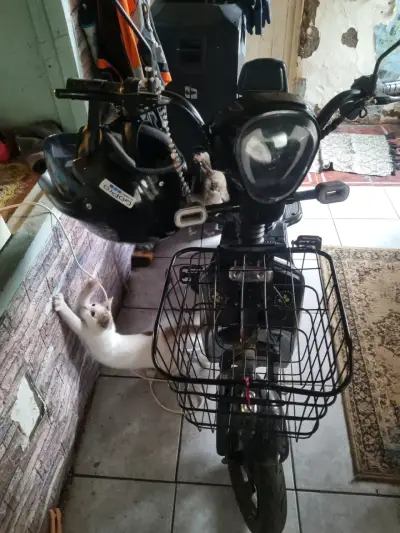 Moto eléctrica negra con canasto delantero - miniatura 3