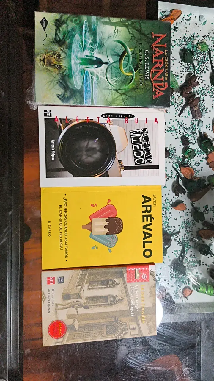 Lote de libros variados - 1