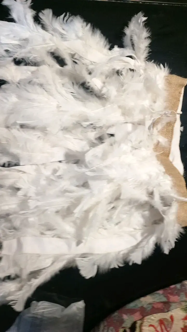 Traje pascuense - 3