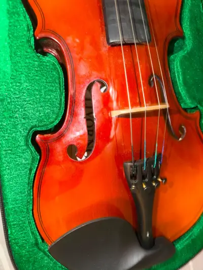 Violín acústico  Livorno Antique Liv-30 3/4 - miniatura 1
