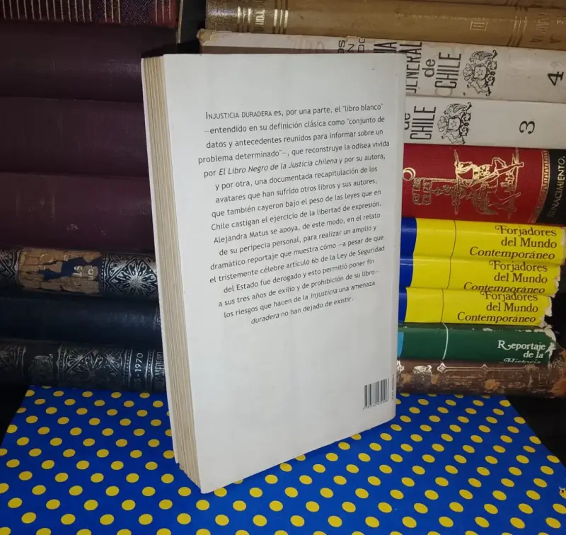 Injusticia Duradera - Alejandra Matus - 2