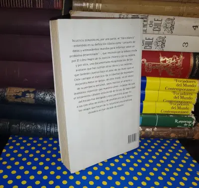 Injusticia Duradera - Alejandra Matus - miniatura 2