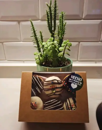 Caja de mini donas decoradas para regalo - miniatura 4