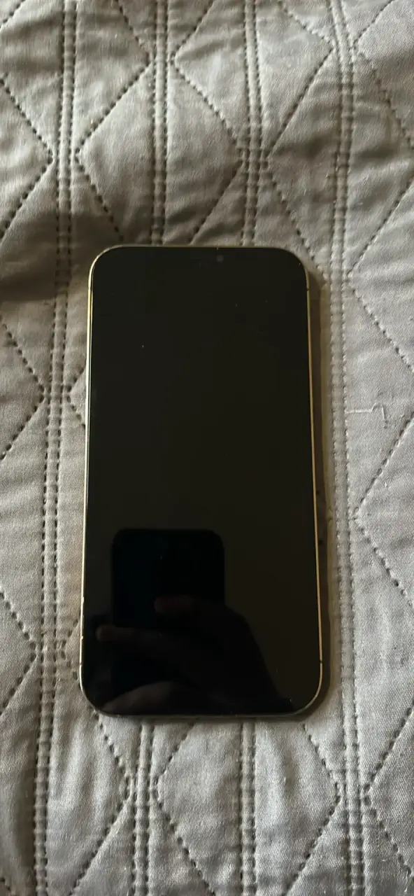 iPhone 12 pro max - 2