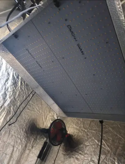 Mars hydro Ts3000 450w Carpa 120x120 y más - miniatura 1