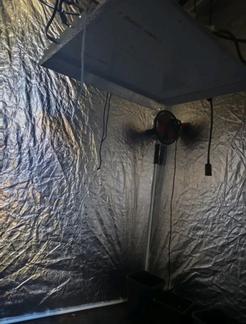 Mars hydro Ts3000 450w Carpa 120x120 y más - 2
