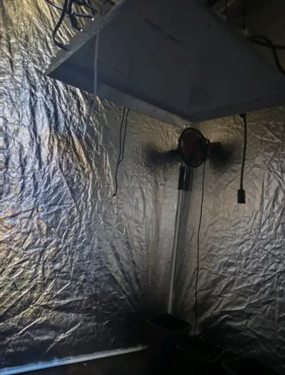 Mars hydro Ts3000 450w Carpa 120x120 y más - miniatura 2