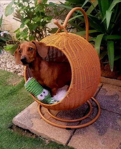Cama colgante de mimbre para mascotas con cojín - miniatura 2