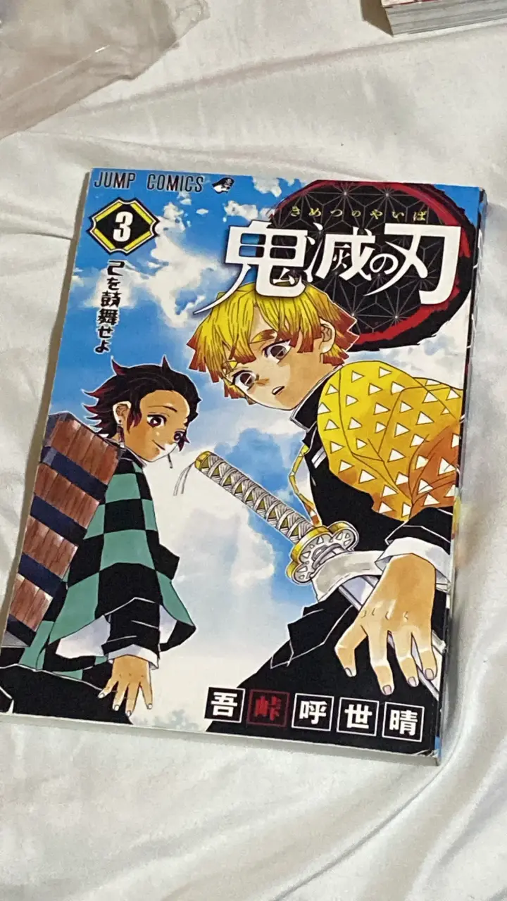 Colección de mangas populares variados - 2