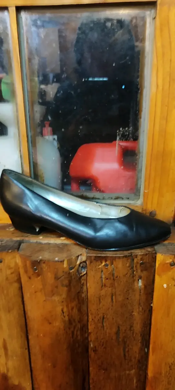 Botines y zapatos dama - 3