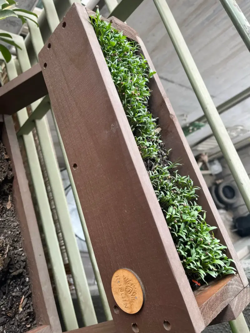 Jardinera vertical de madera para balcón - 2