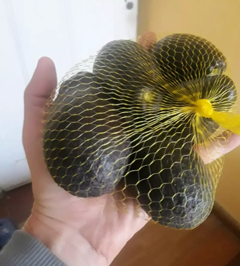 Palta La Cruz fresca en malla de 5 unidades - 2