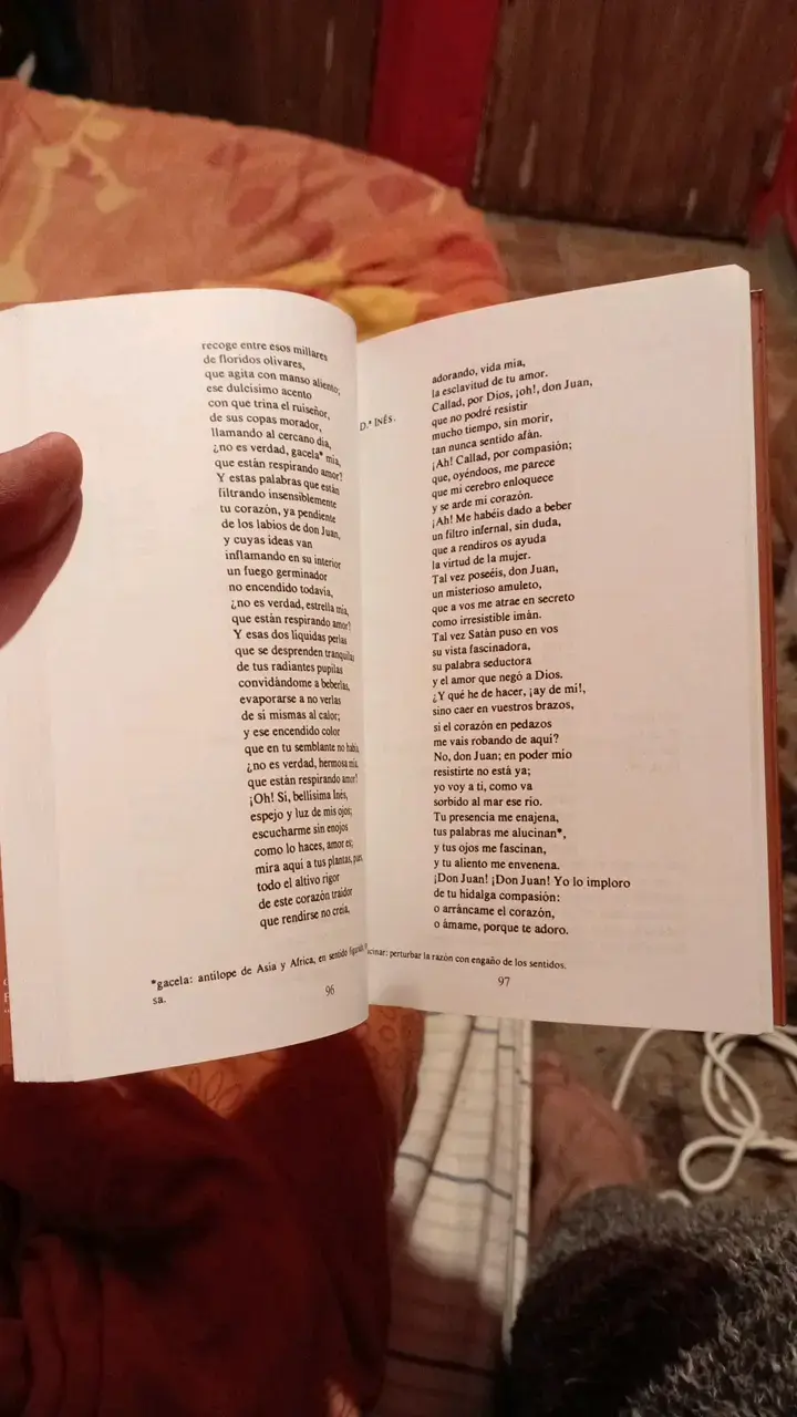 Libro Don Juan Tenorio de José Zorrilla - 5