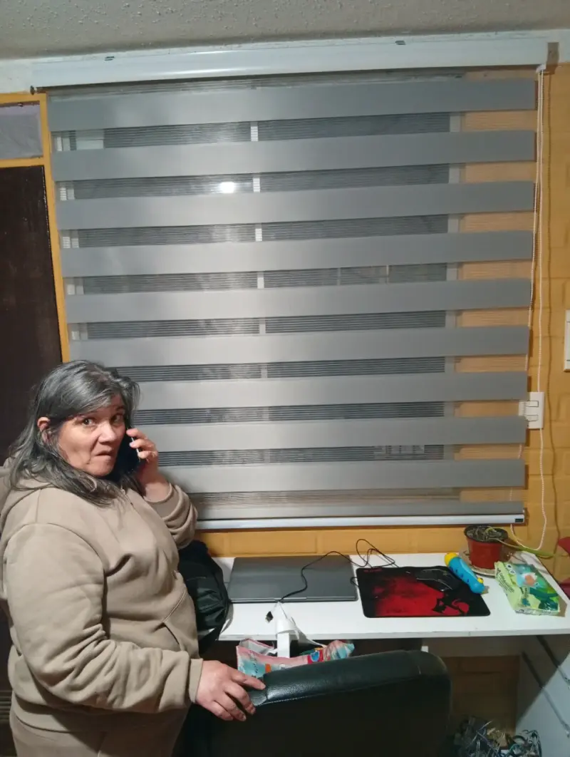 Cortina roller dúo gris para ventanas - 3