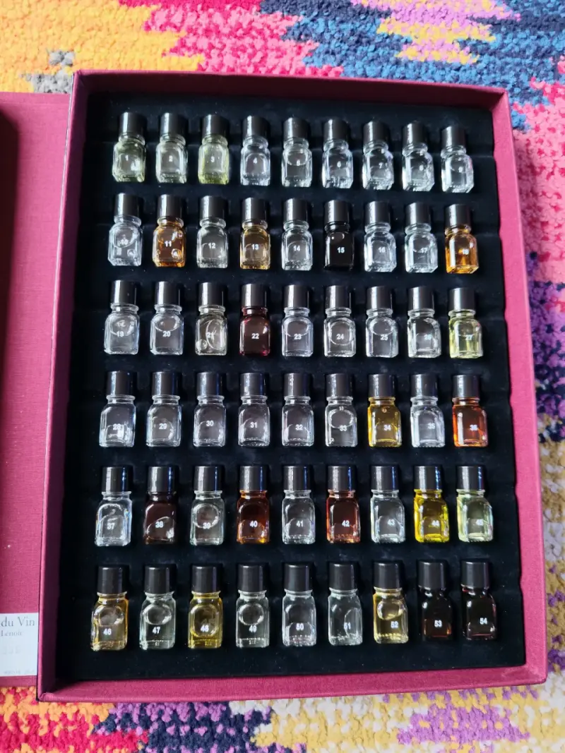 Set de Aromas para Vino Le Nez du Vin Jean Lenoir - 4