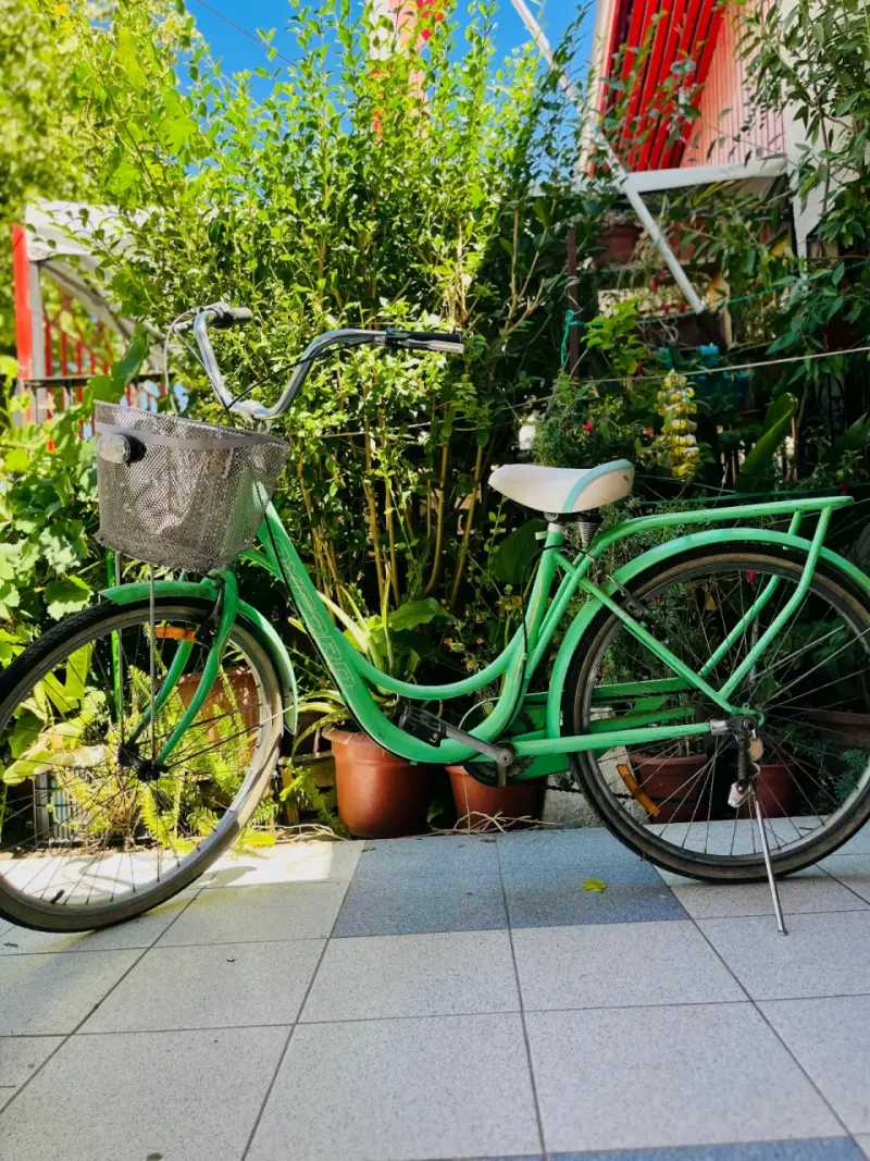 Bicicleta vintage verde con canasto - 1