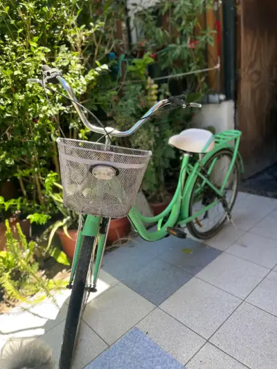 Bicicleta vintage verde con canasto - miniatura 2