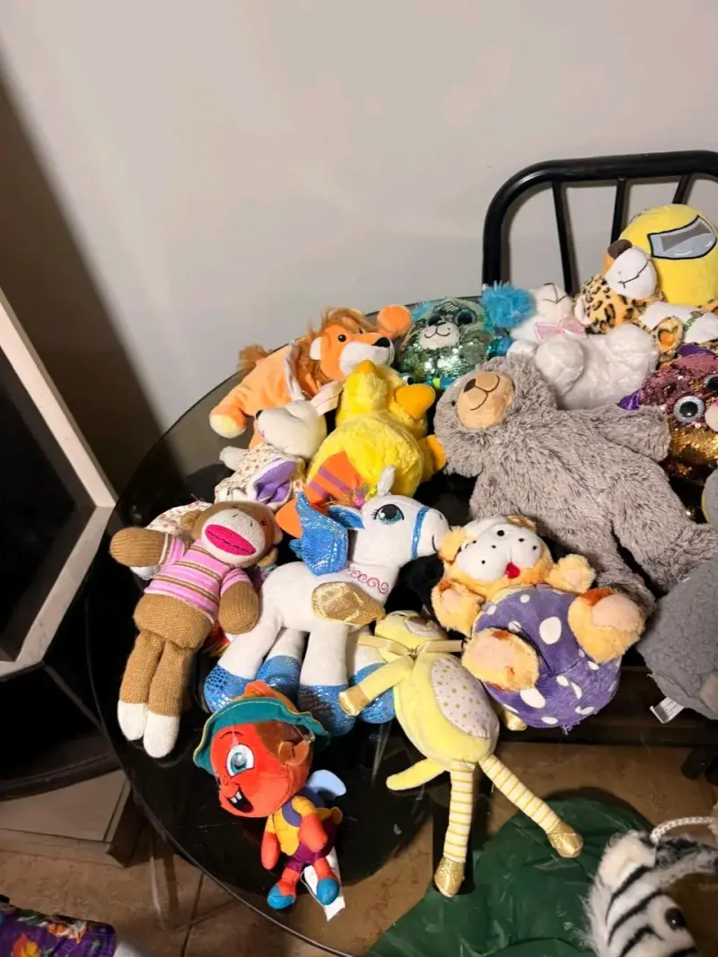 Lote de peluches variados para niños - 5