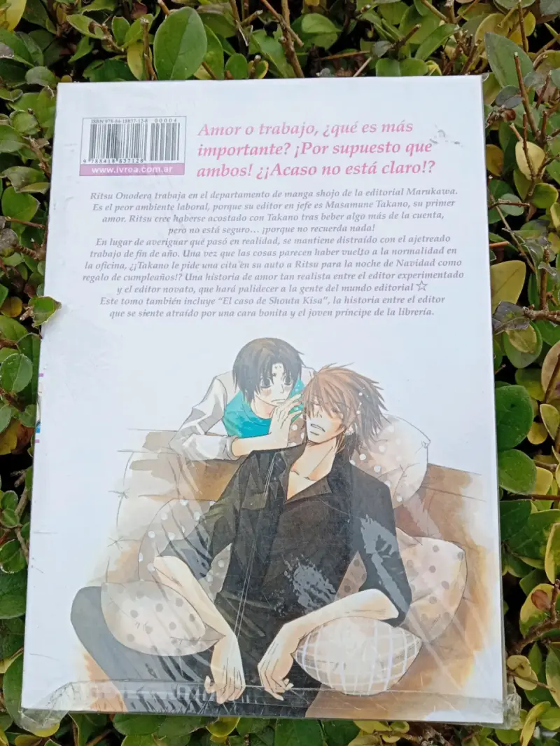 Manga Sekaiichi Hatsukoi Volumen 4 - 2