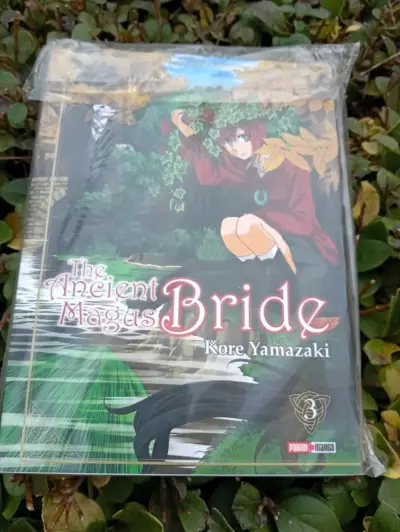 Manga The Ancient Magus Bride 3 de Kore Yamazaki - miniatura 1