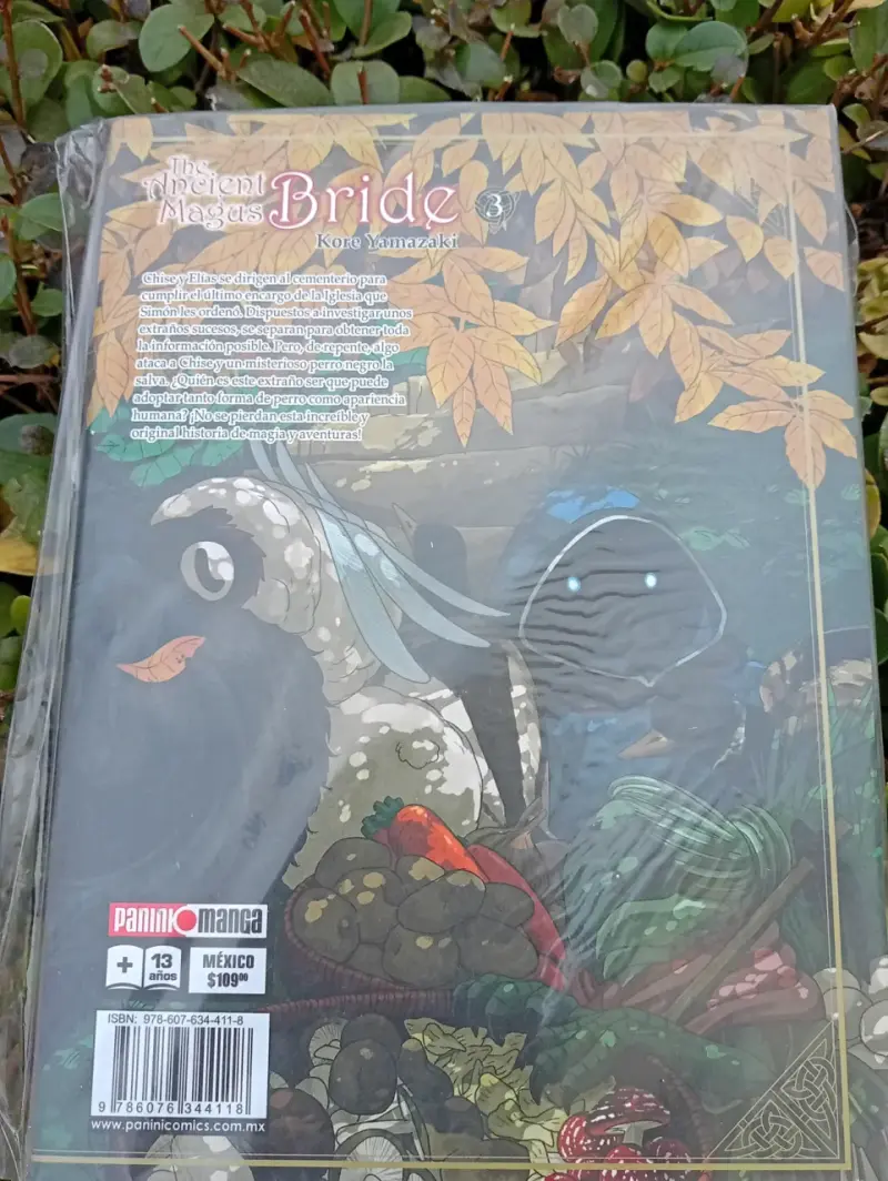 Manga The Ancient Magus Bride 3 de Kore Yamazaki - 2
