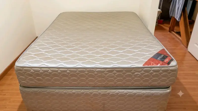 Cama de dos plazas serta modelo Apollo - 1