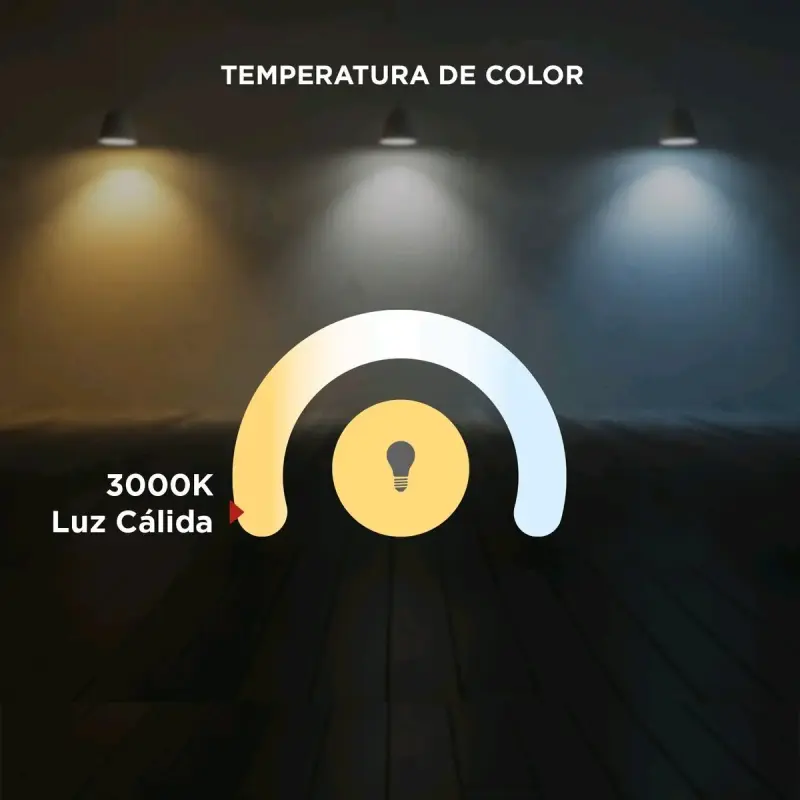 Foco LED para jardín con estaca negra - 5